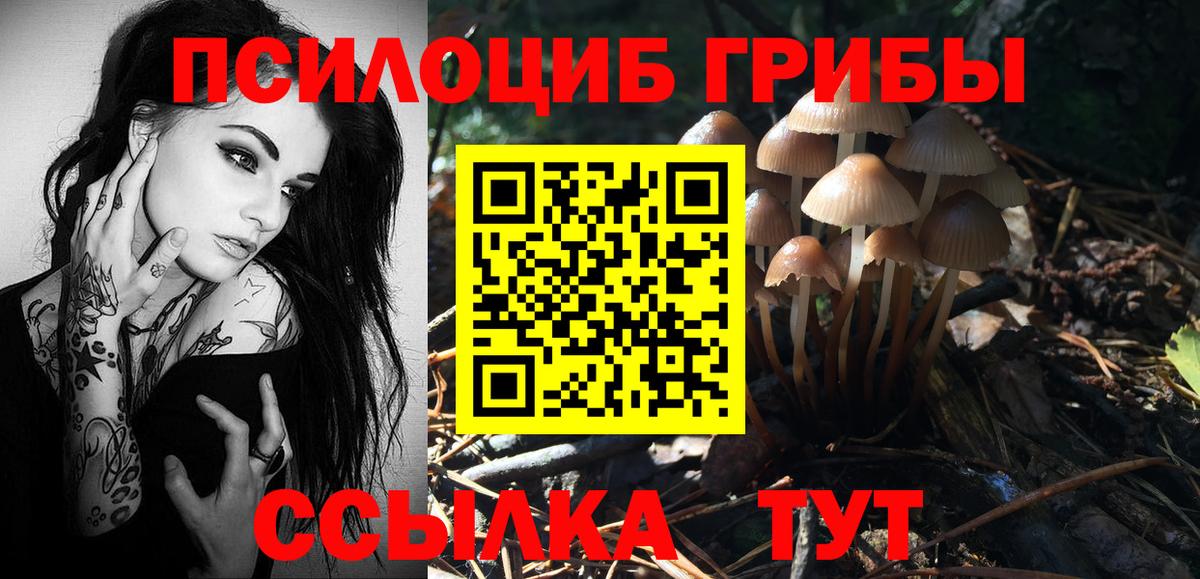 Псилоцибиновые грибы MAGIC MUSHROOMS Бахчисарай