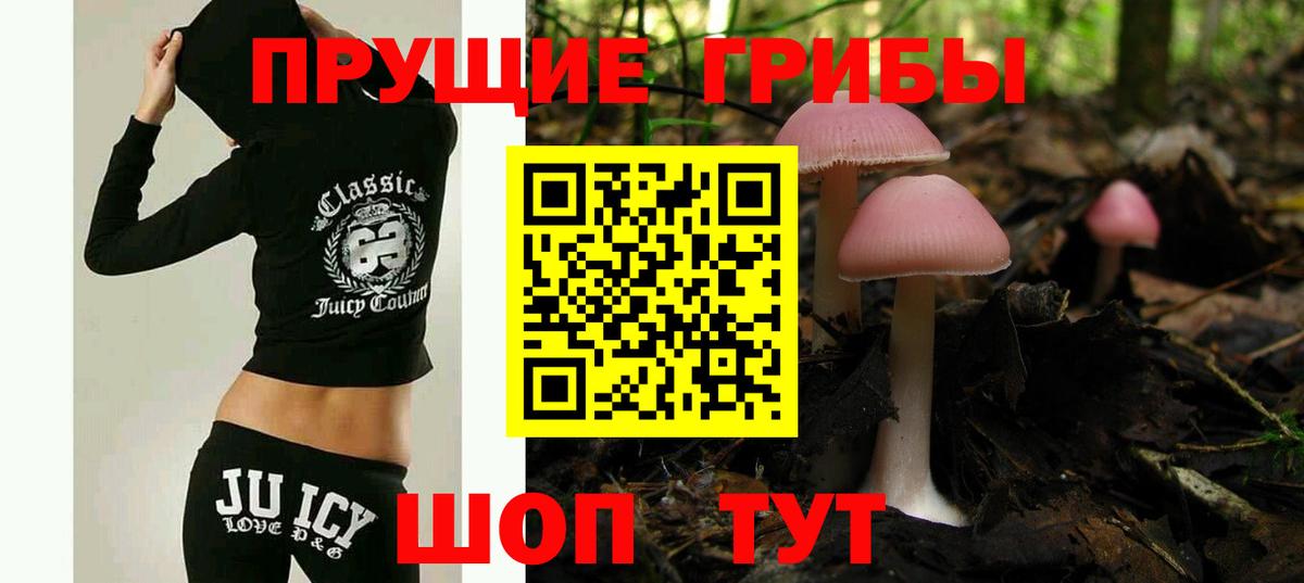 Галлюциногенные грибы Psilocybine cubensis  Вход с VPN  Бахчисарай 